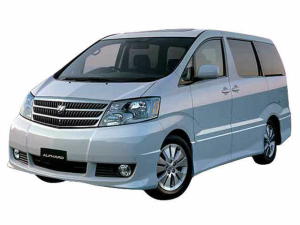 Коврики в салон (2 ряда) Toyota Alphard I 2002-2008  (