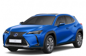 Коврики в салон (2 ряда) Lexus UX 2018-н.в.