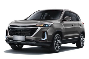 Коврики в салон (2 ряда) BAIC X35 2019-н.в.