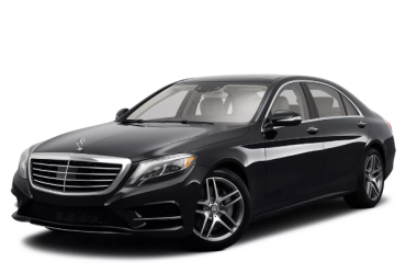 Коврики из экокожи 3D Mercedes S-класс W222 2013-н.в. (купе)